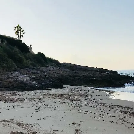 Mare Nostrum * טראגונה